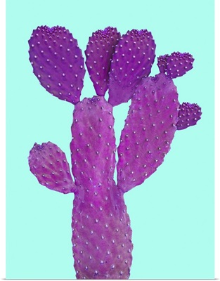 Cactus Plant V