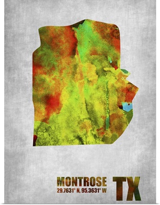 Montrose Texas