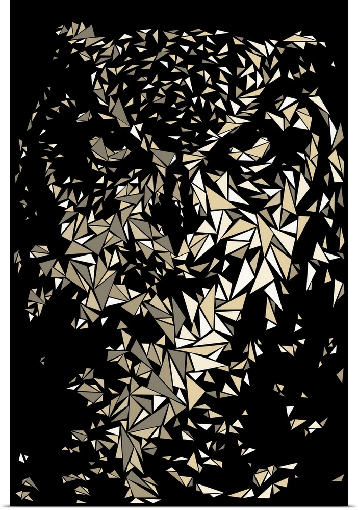 Portrait of an owl made up of triangular geometric shapes.