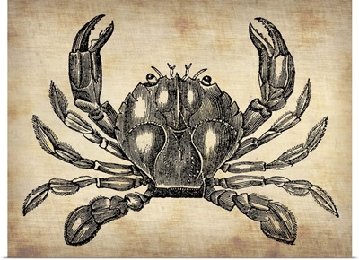 Vintage Crab