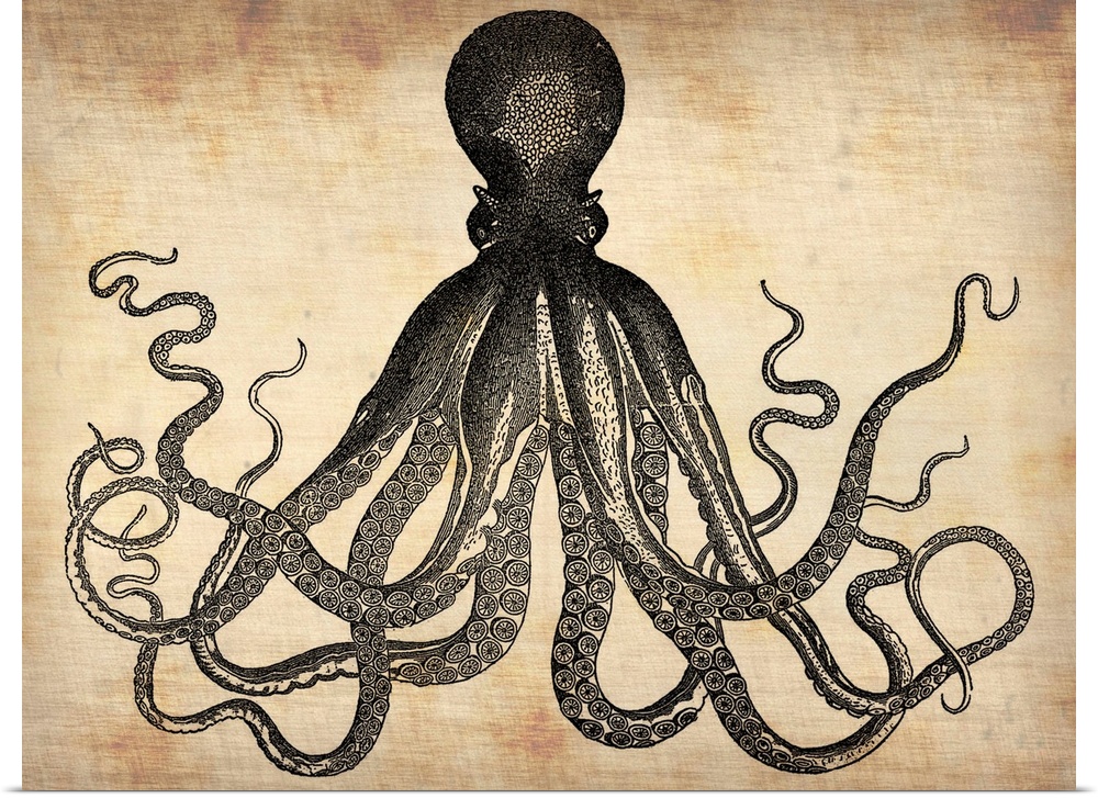Vintage Octopus, vintage art, vintage prints