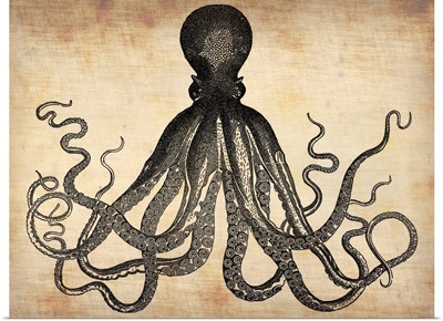 Vintage Octopus
