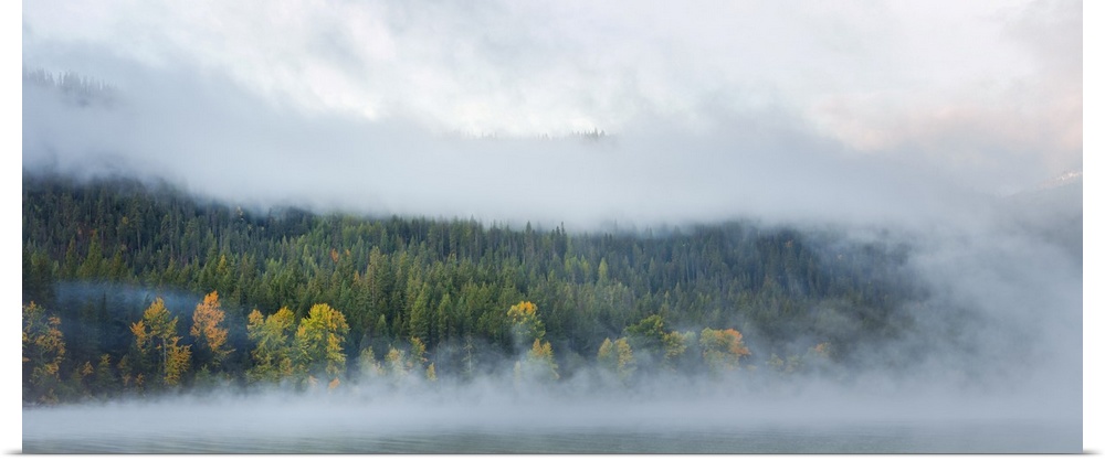 Mist rise from Lake Wenatchee near Leavenworth, Washington, surrounding a stand of trees showing the first colors of autumn.