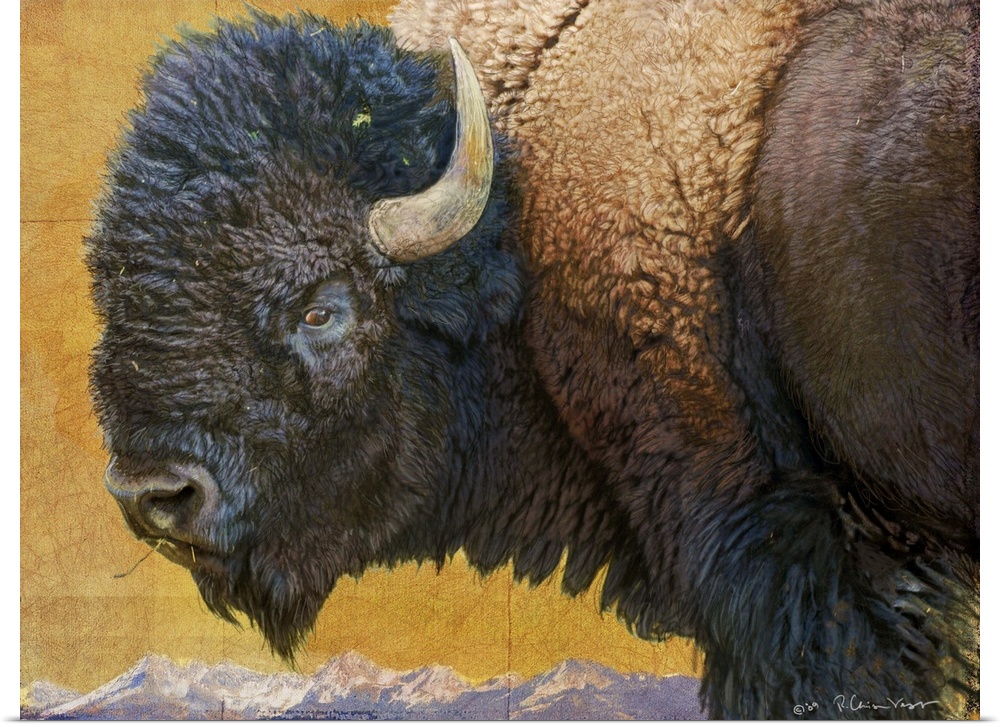 Contemporary artwork of an american bison portrait.