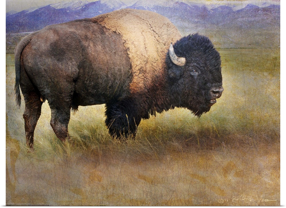 Contemporary artwork of a bison roaming the american plains.