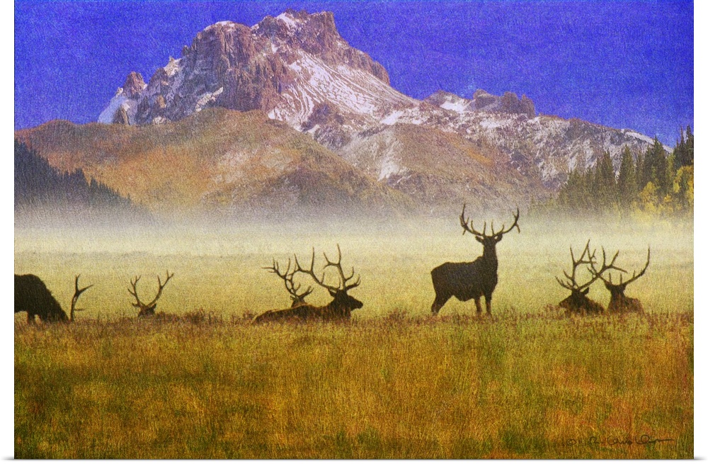 Contemporary artwork of silhouetted group of bull elk in a misty morning field.