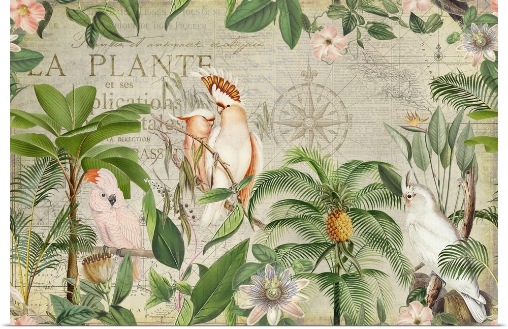 Vintage style collage with cockatoo birds and tropical plants.