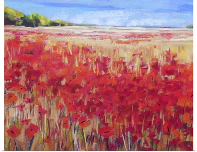Corn and Poppies IV