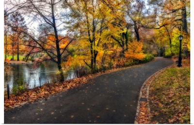 Fall Foliage Around Pathway