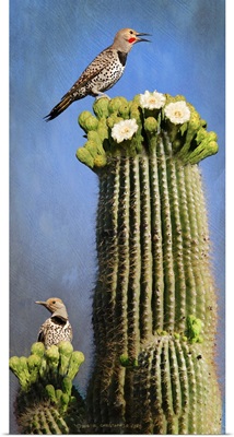 Flicker Saguaro