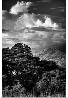Green Mountains and Clouds Black and White