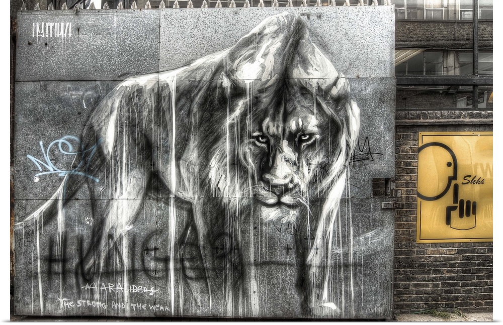 HDR photograph of an urban city wall with graffiti of a lion painted on it.