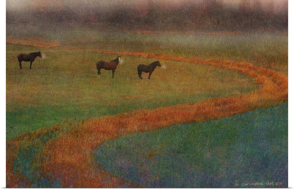 Contemporary artwork of three horses standing in a misty field.