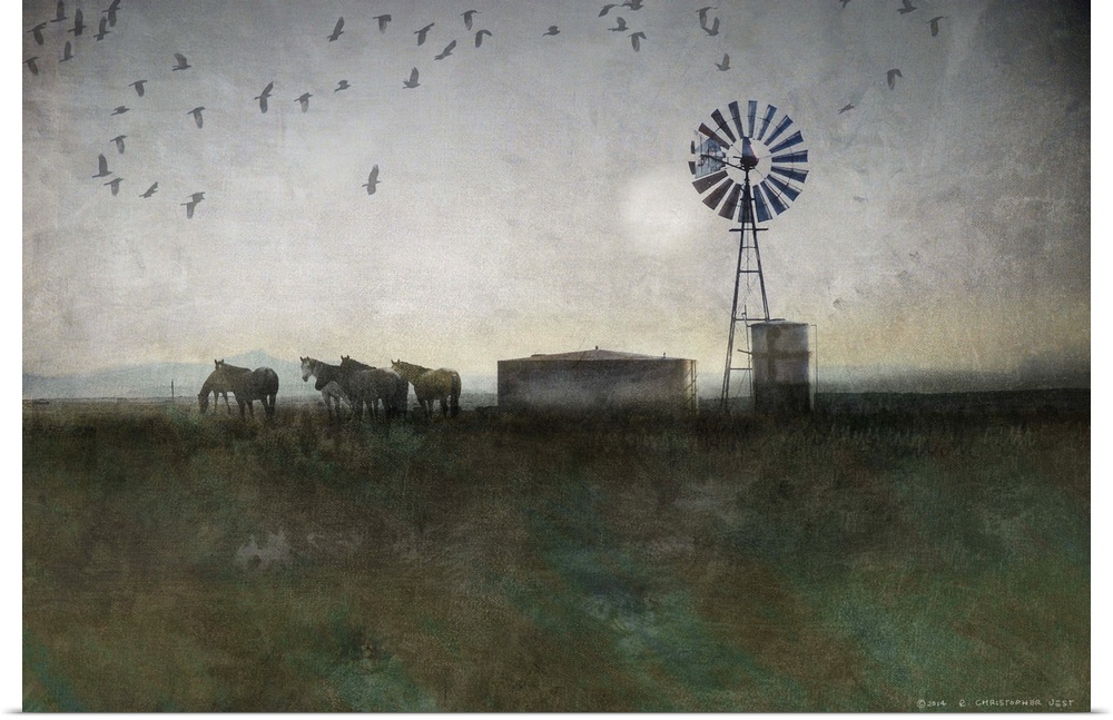 Horses, Windmill and Crows