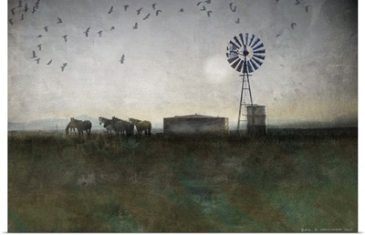 Horses, Windmill and Crows