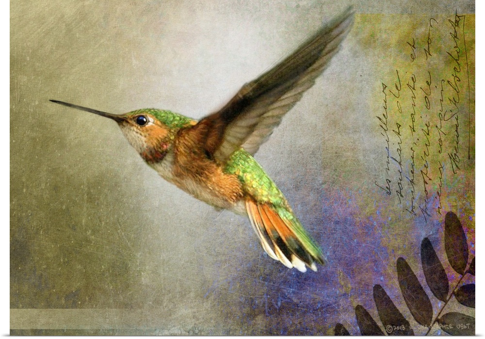 Contemporary artwork of a hummingbird in mid flight.