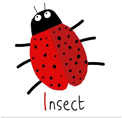 I for Insect
