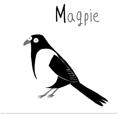 M for Magpie