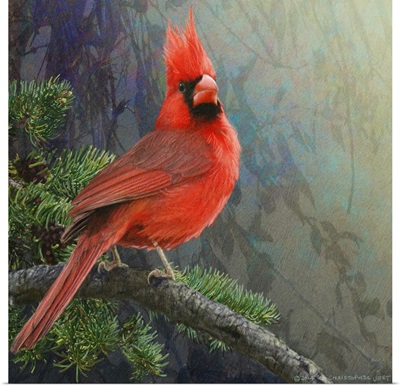 Mountain Cardinal