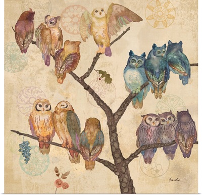 Owls on Branches