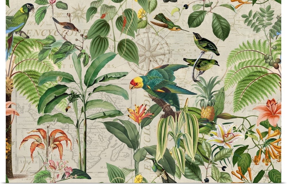Vintage style illustration with vintage map, parrots, hummingbirds, and tropical plants.