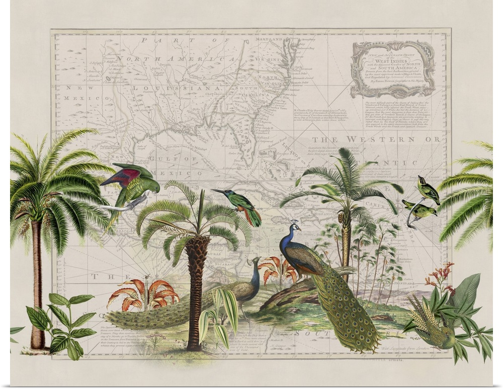 Vintage style mixed media art with old map, exotic peacocks, and parrots.