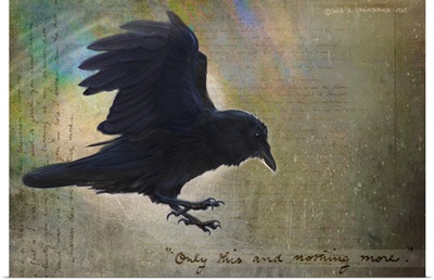 Raven Nothing More