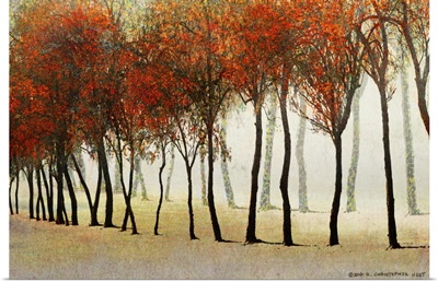 Row Of Trees Red