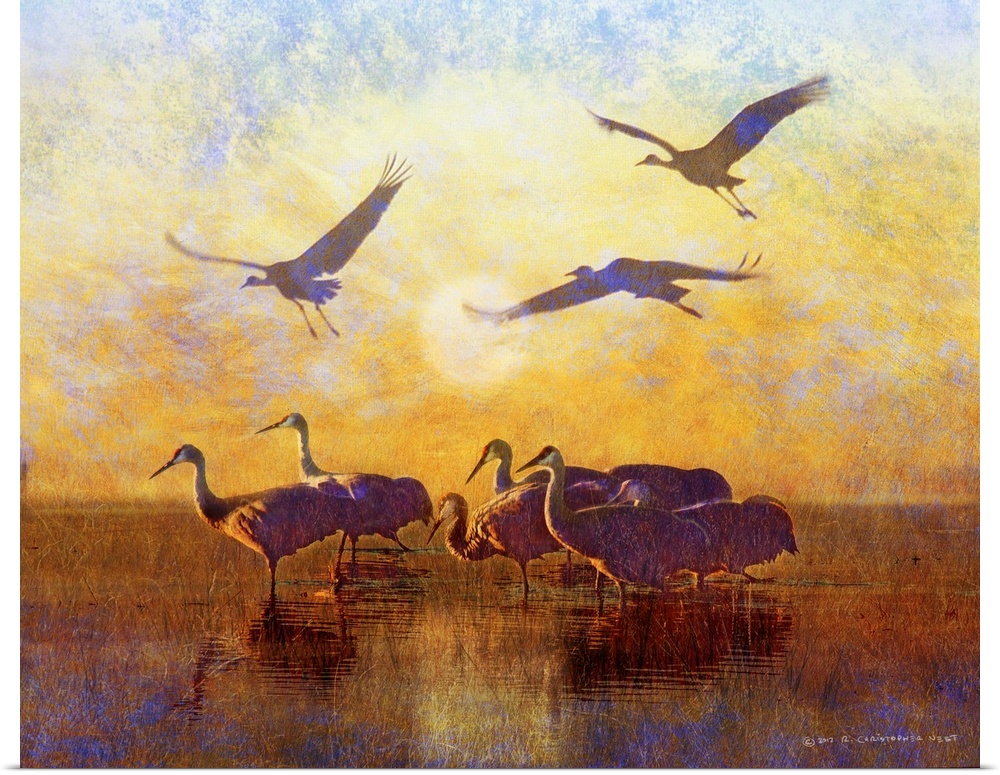 Contemporary artwork of silhouetted cranes standing in water.