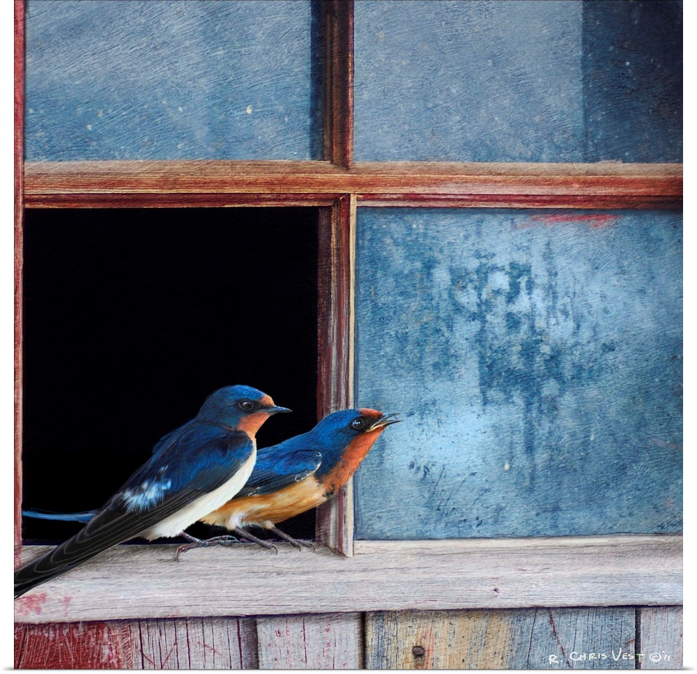 Contemporary artwork of two birds perched on a broken window pane.