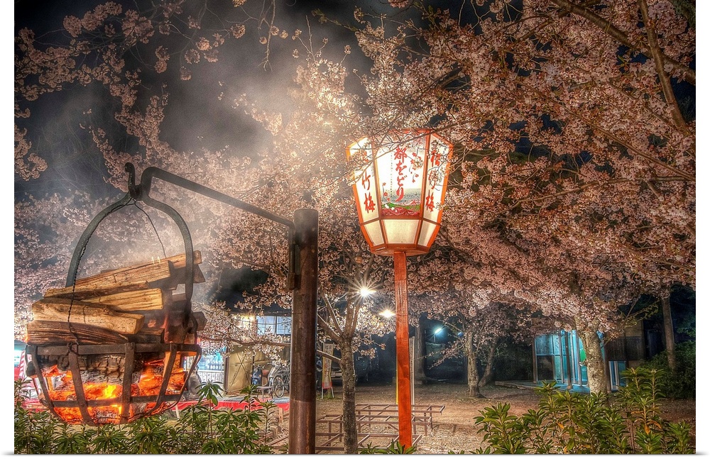HDR photograph of a garden in Tokyo during the cherry blossom festival, Japan.