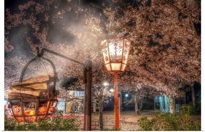 Tokyo Cherry Blossom Festival