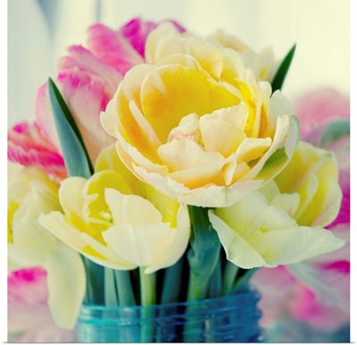 Tulip Bouquet B