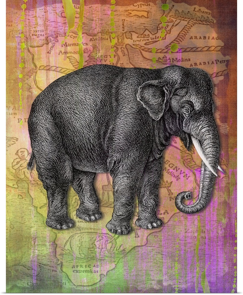 Colourful vintage effect mixed media elephant print.
