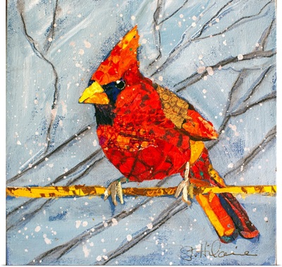 Winter Cardinal Male