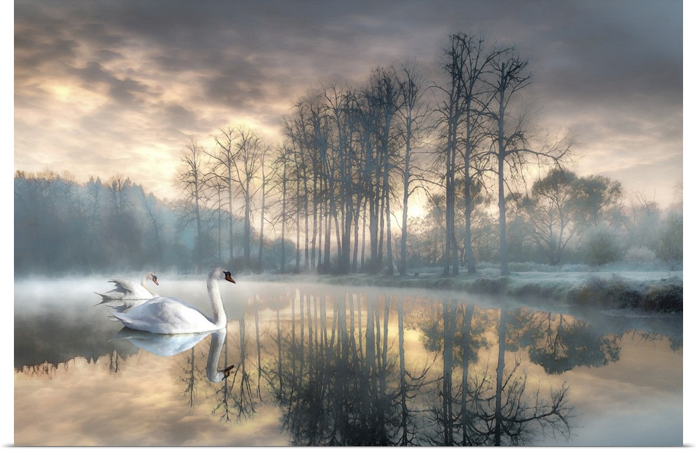 A watercolor rendition of two peaceful looking swans gliding over a frosty looking, mystic, misty forest pond softly lit b...