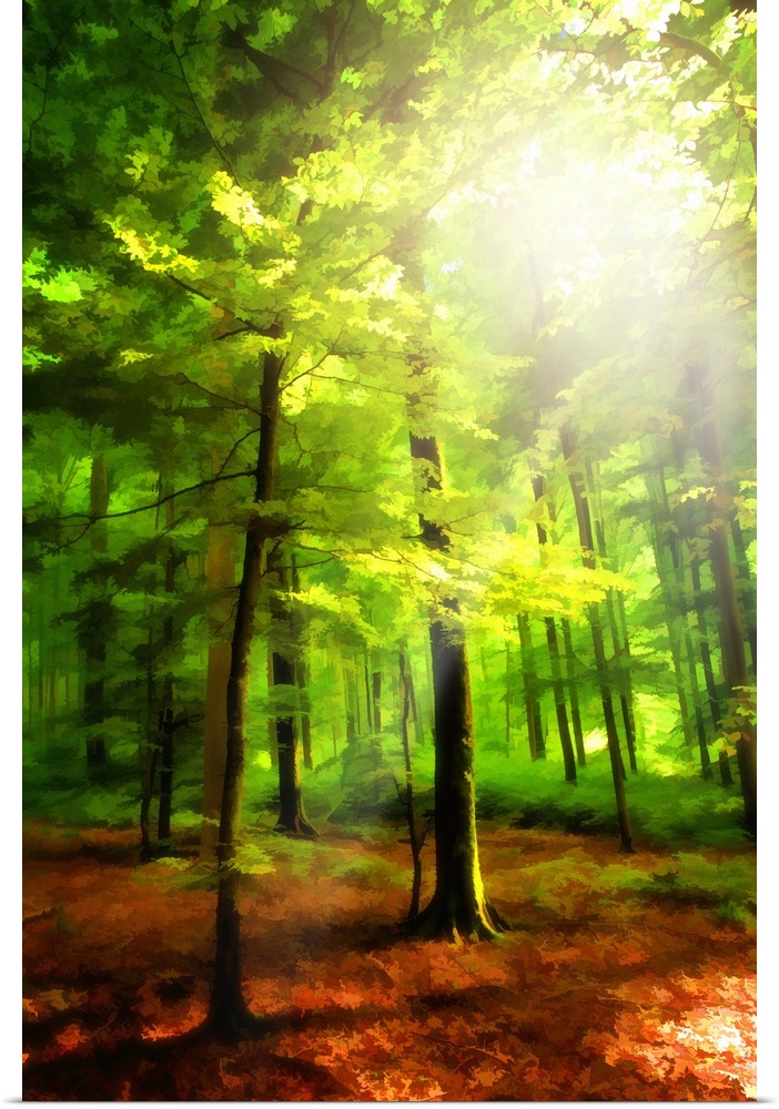A vibrant colorful photograph of a forest with sunlight shining through the canopy.