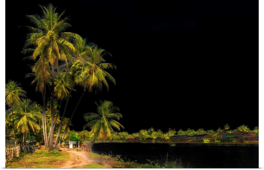 A beach with palm trees in Asia against the dark sky