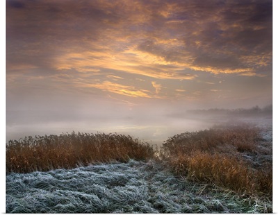 A Frost and Foggy Morning