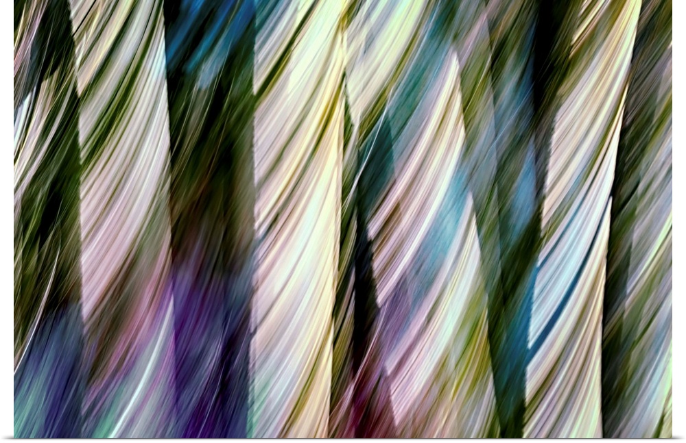 Abstract photo of a forest, shot with a long exposure to create shapes out of the sunlight through the trees.