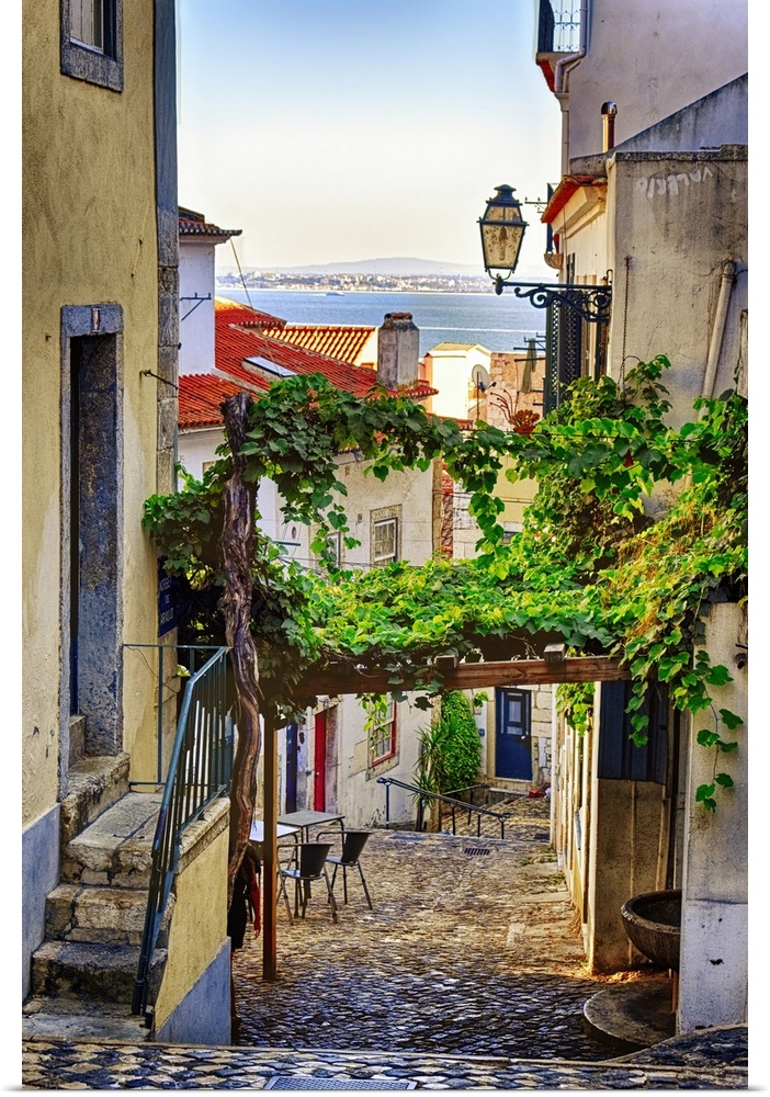 Cobblestone street with grapevine trellis, Alfama district, Lisbon, Portugal.