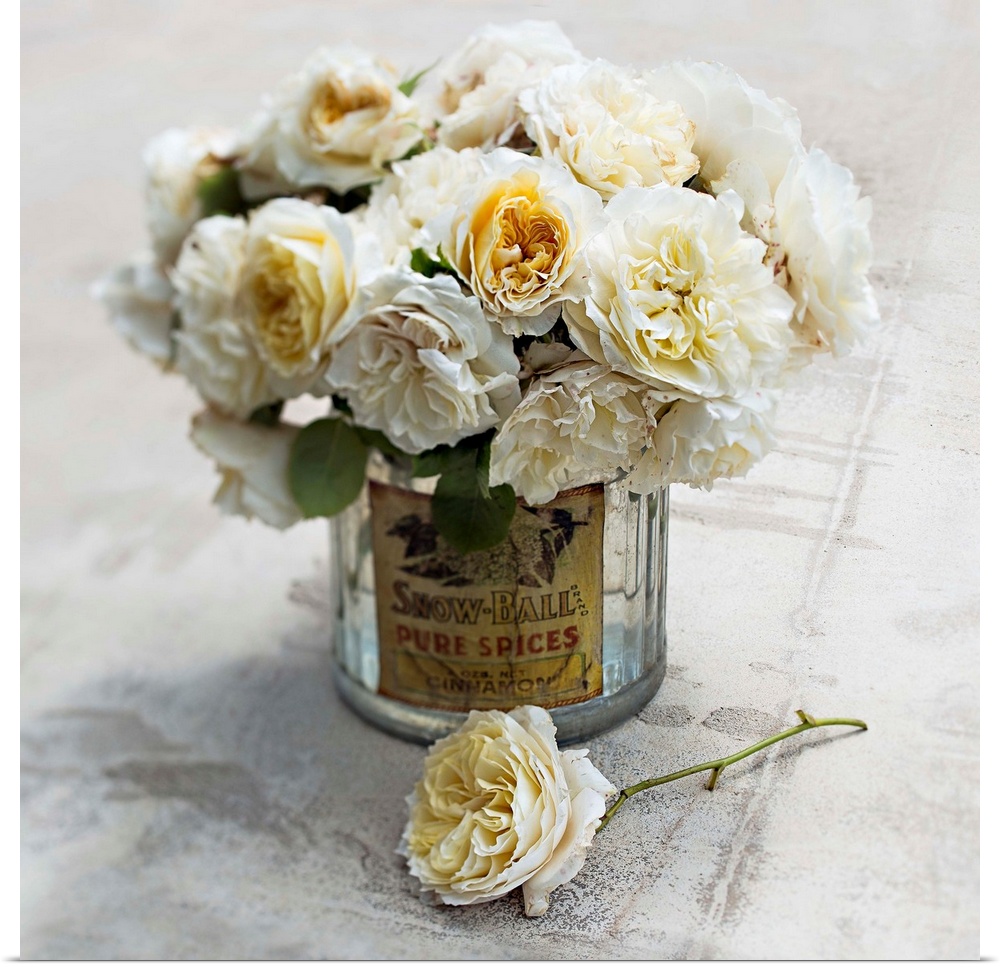 Square photograph of white English roses arranged in a glass jar on a cement surface with soft, hazy edges.