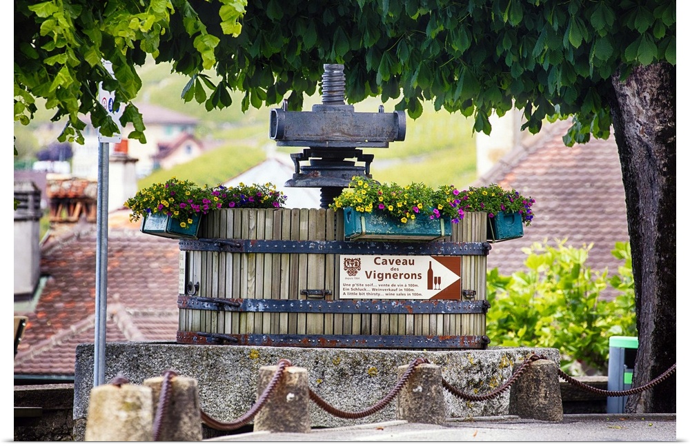 A photograph of a vintage grape press at a vineyard.