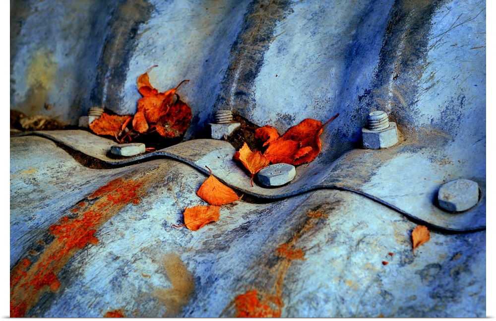Photograph of wavy pieces of metal bound together with nuts and bolts, covered in rust and Fall leaves.