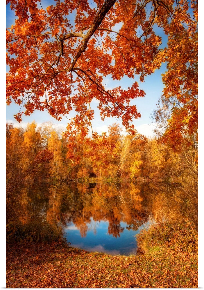 Autumn foliage along a pond