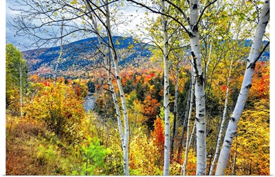 Autumn in the White Mountains, New Hampshire