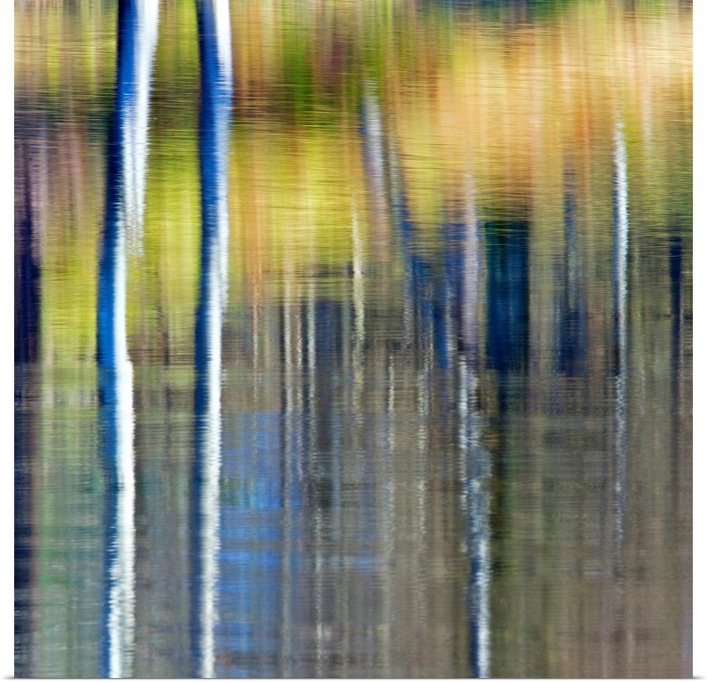An abstracted autumn reflection of autumn foliage in golden yellows in water.