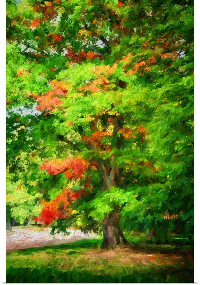 An oak in early fall with a expressionist photo or painterly process