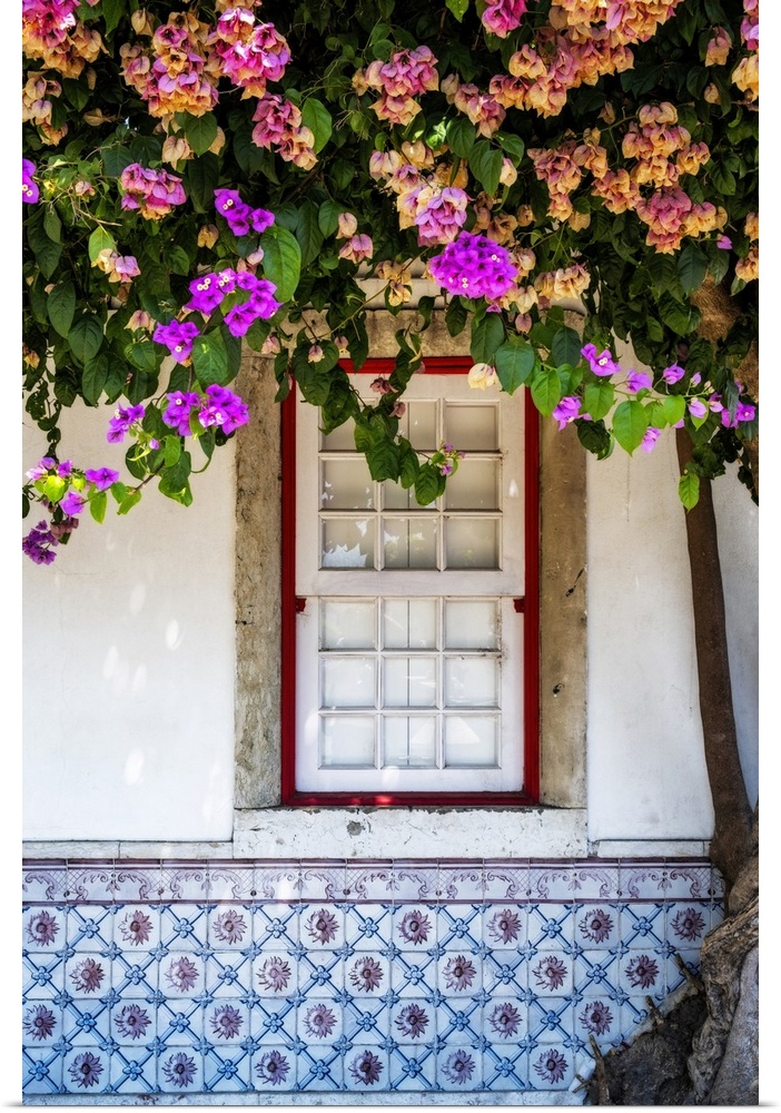 Window in old town Lisbon with azulejos and blossoming tree, Portugal.