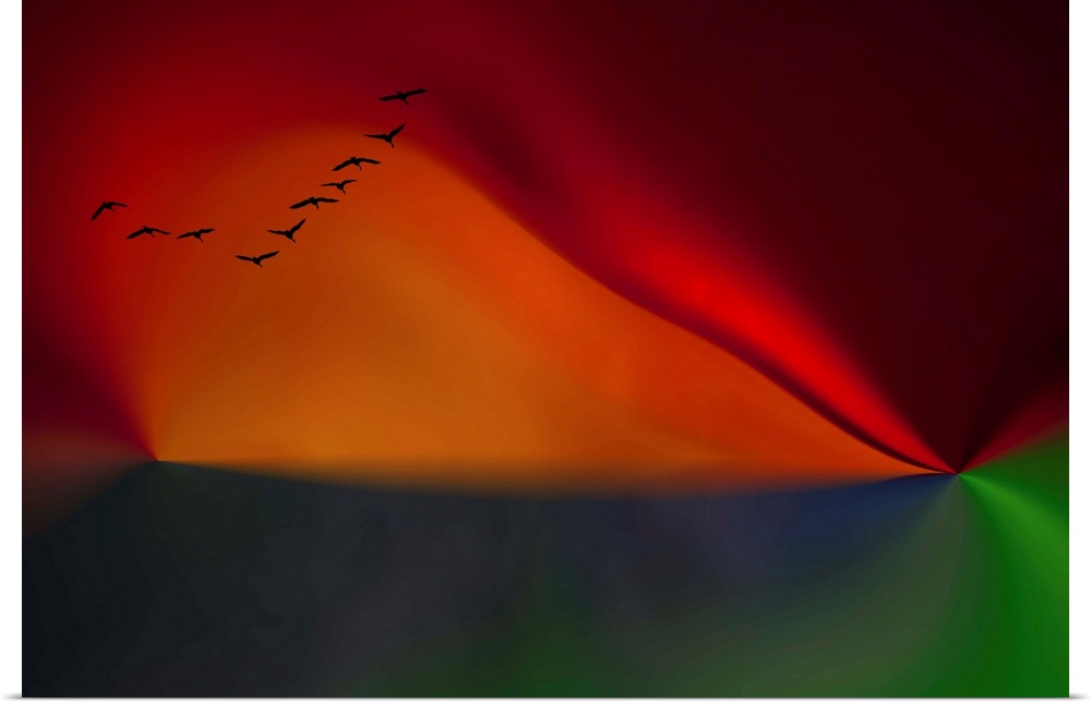 A flock of birds over an abstract image in red and green.